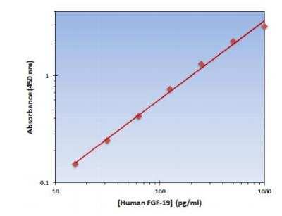 ELISA: FGF-19 ELISA Kit [Biotin] [KA2207] - Standard curve